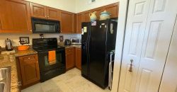 20221 Estero Gardens Cir #205 – Amber