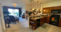 20221 Estero Gardens Cir #205 – Amber