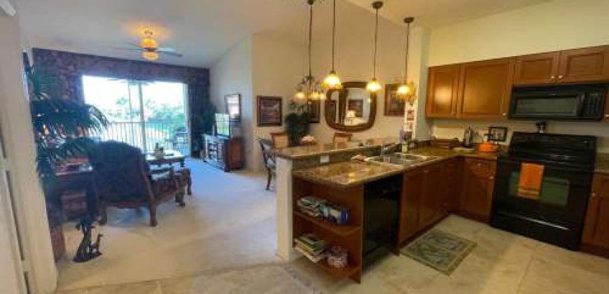 20221 Estero Gardens Cir #205 – Amber