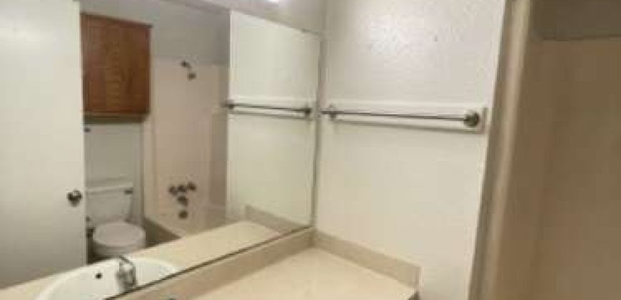 206 Lincoln Ave College Station, TX 77840