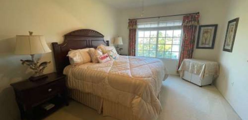 20221 Estero Gardens Cir #205 – Amber