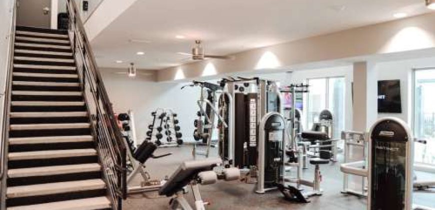 The Locale Tallahassee | Student Housing