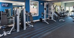 Avalon 850 Boca