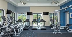 Avalon 850 Boca