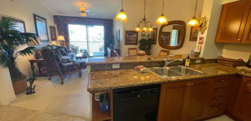 20221 Estero Gardens Cir #205 – Amber