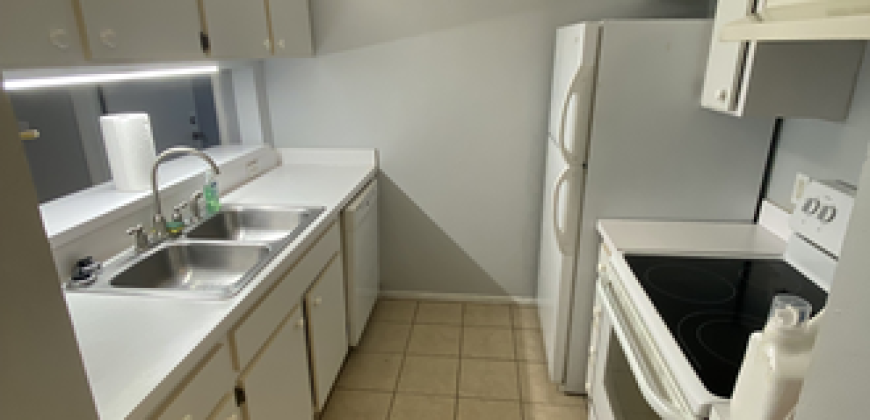 Countryside Apartment