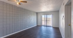 Carousel Plaza Apartments
