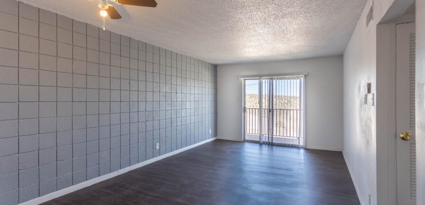 Carousel Plaza Apartments