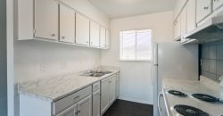 Carousel Plaza Apartments