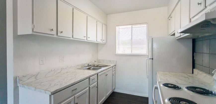 Carousel Plaza Apartments