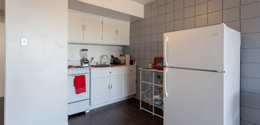 Carousel Plaza Apartments
