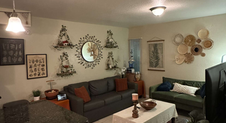 College Town at USF Apartments (Sublet)