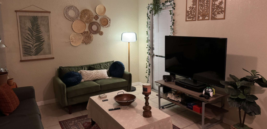 College Town at USF Apartments (Sublet)