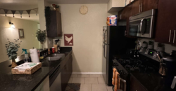 College Town at USF Apartments (Sublet)