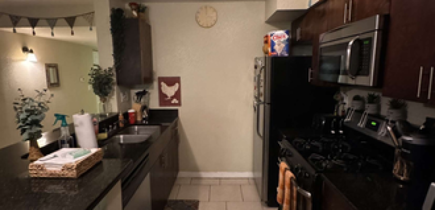 College Town at USF Apartments (Sublet)