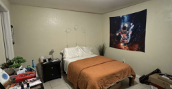 College Town at USF Apartments (Sublet)