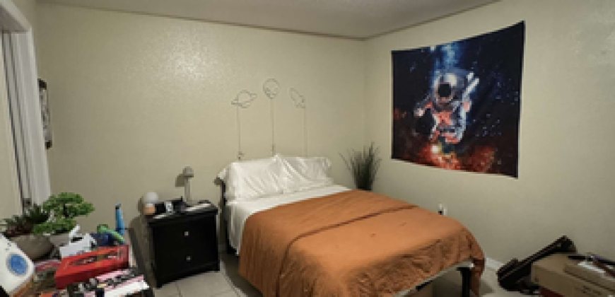 College Town at USF Apartments (Sublet)