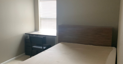 IQ Luxury Apartments