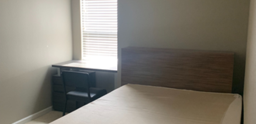 IQ Luxury Apartments