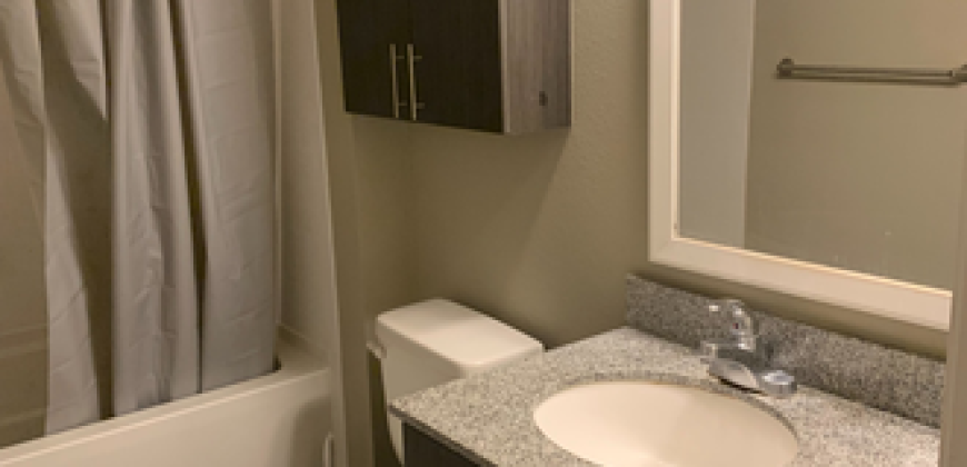IQ Luxury Apartments