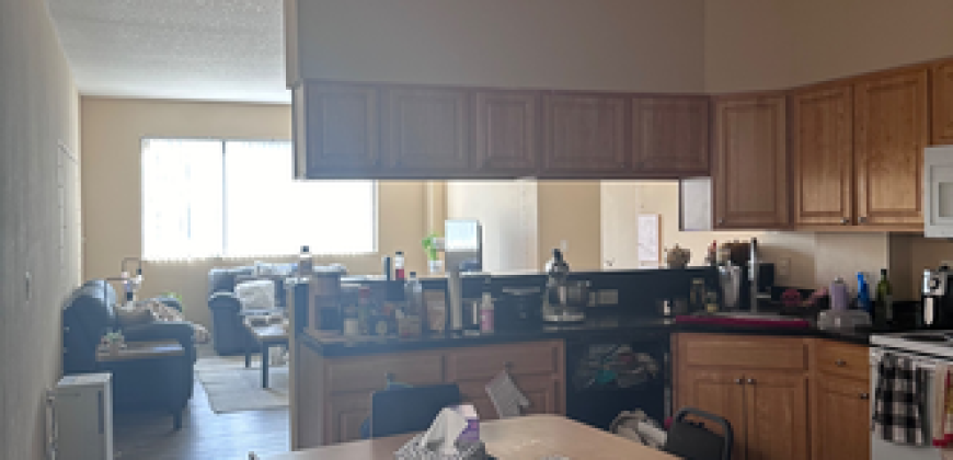 Malibu Apartments