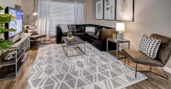 Royal Village Apartments