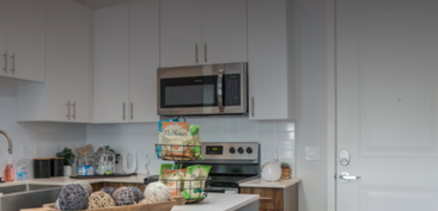 UFORA Gainesville Apartments