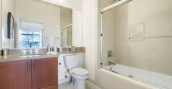 NoHo 14