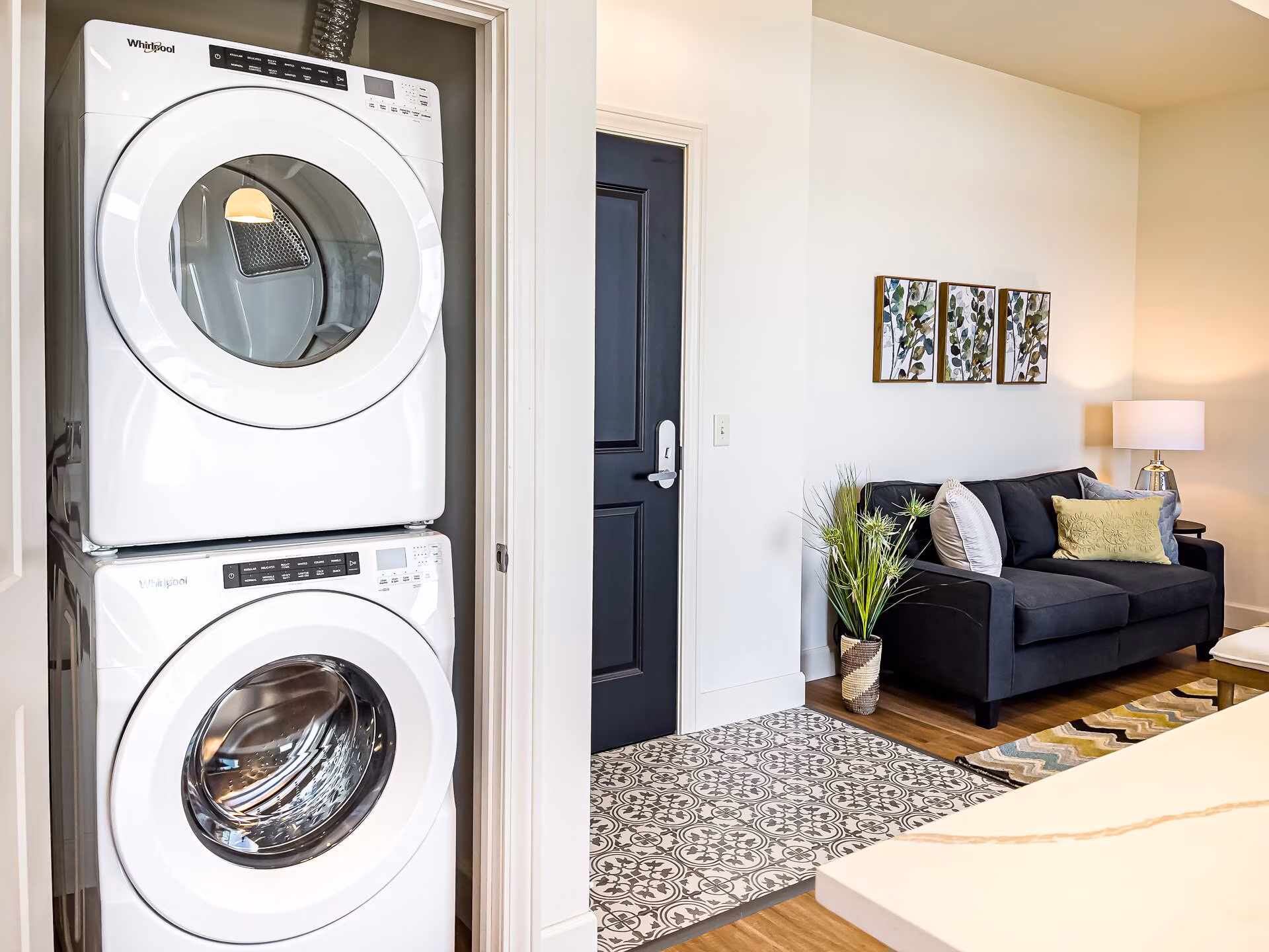 The Continental – Live Timelessly